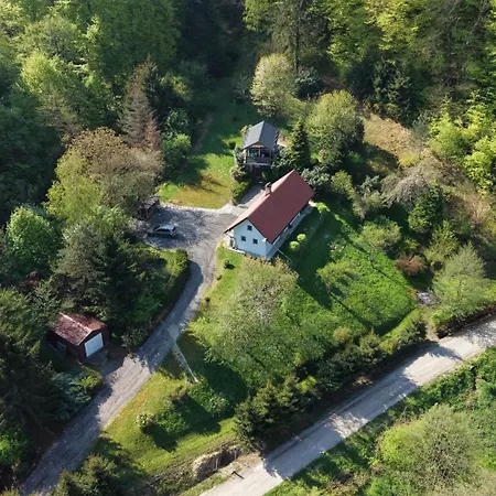 Secret Forest Retreat